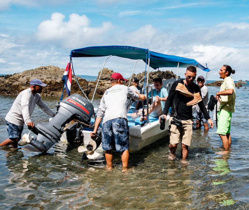 Sierpe to Corcovado Wilderness Lodge Boat Transfer: Complete Guide