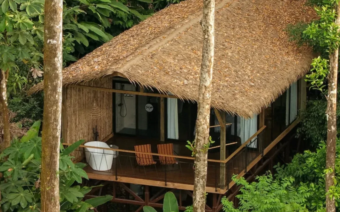 Corcovado Wilderness Lodge Rooms — Your Sanctuary in the Osa Peninsula