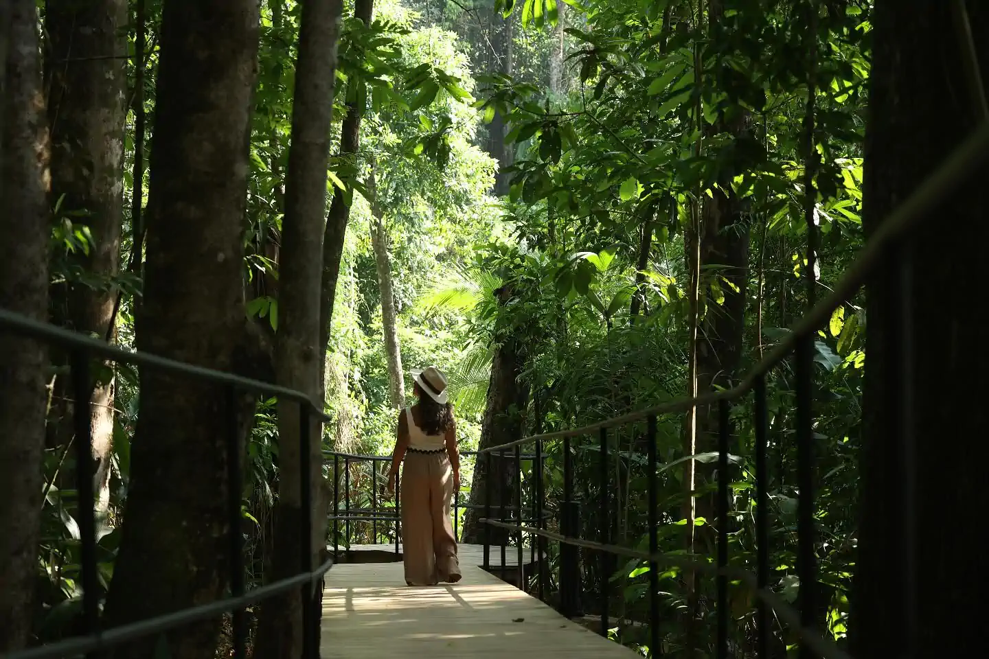 corcovado-wilderness-stroll