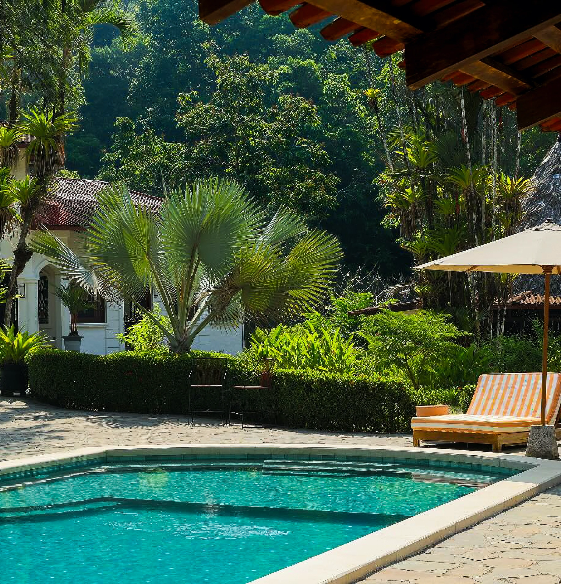 cwl-pool-side-view-with-scenery Ride to Corcovado Wilderness Lodge