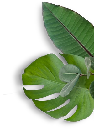 Boat ride along the Pacific coast near Corcovado Wilderness Lodge