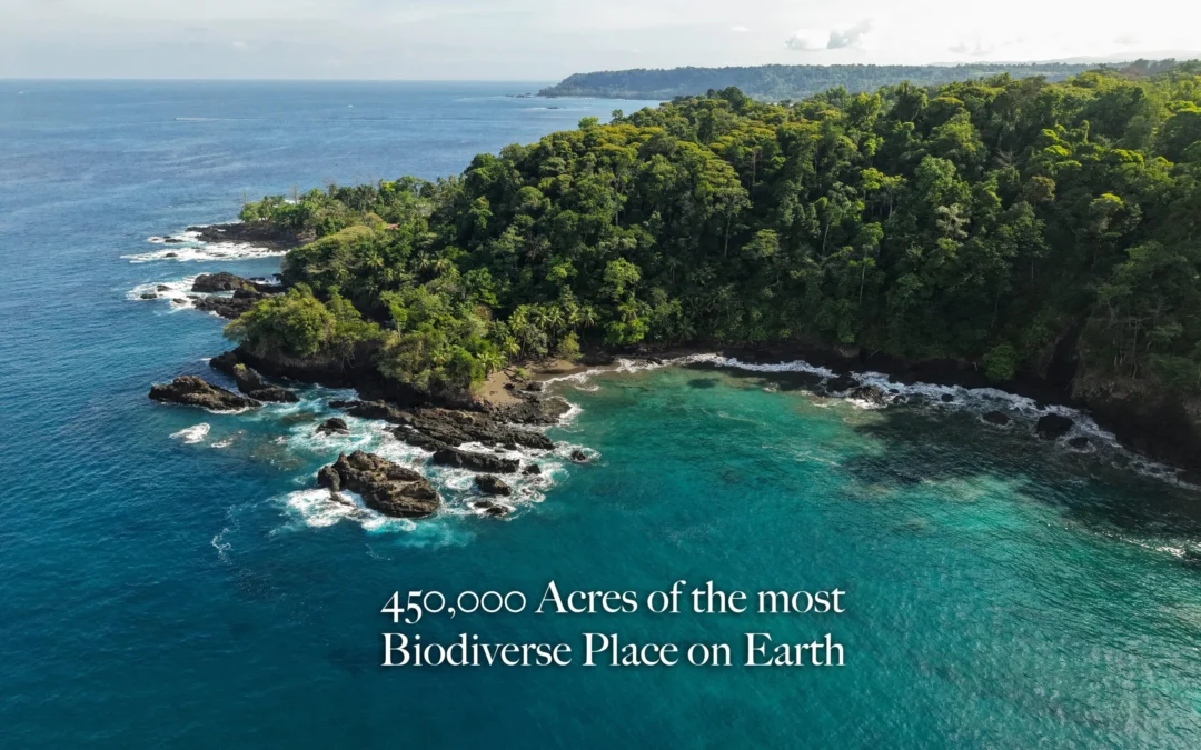 How to Get to Corcovado Wilderness Lodge