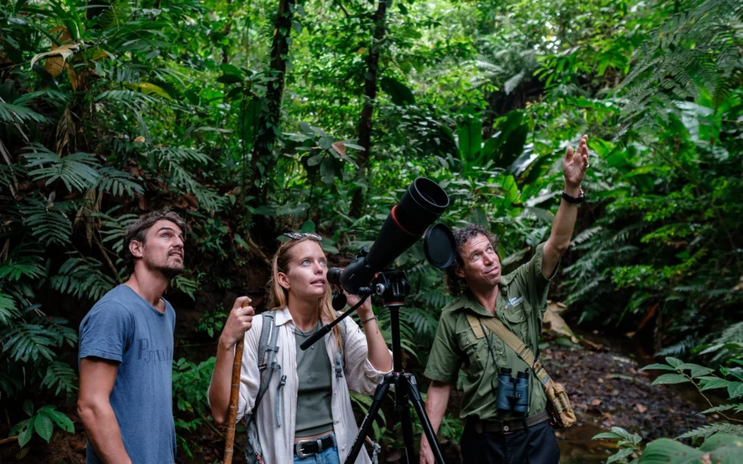 Corocvado Wilderness Lodge bird watching