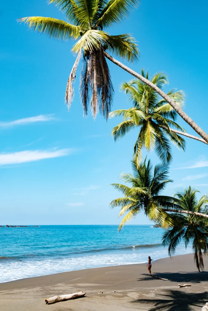 woman at costa rica beach surrounded by palm tress