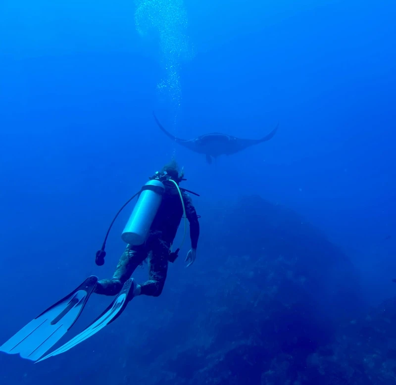 Inn Oceana marine conservation