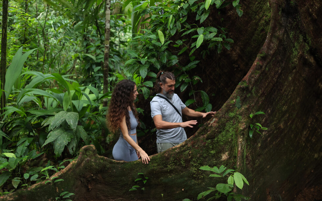 Lodge Amenities and Layout at Corcovado Wilderness Lodge