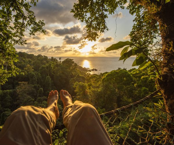 Corcovado Wilderness CenterDSC_4773-GP