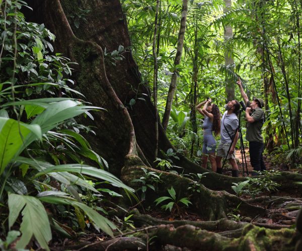 IG: destinationphotocr www.destinationphotocostarica.com