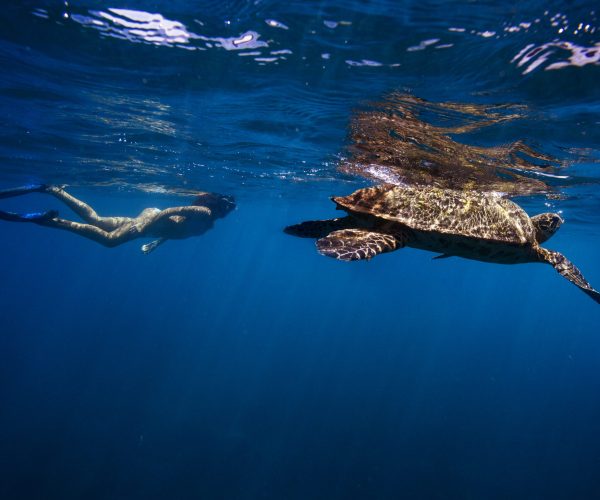 SnorkelCañoCWL_6131