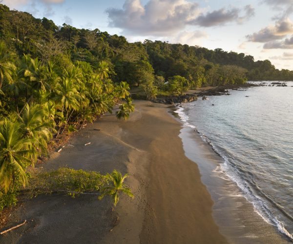 Untitled_Panorama-26