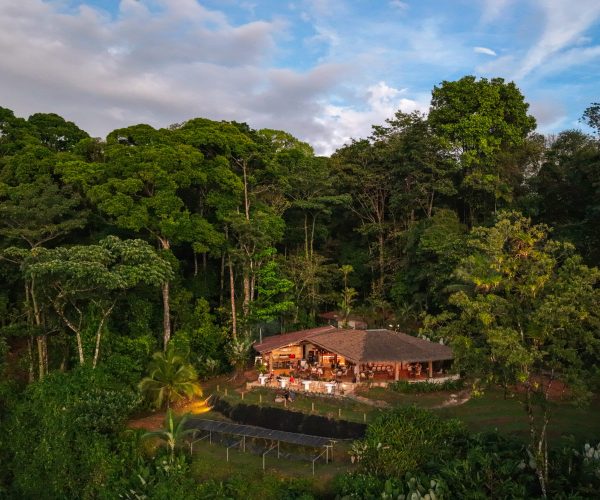 IG: destinationphotocr www.destinationphotocostarica.com